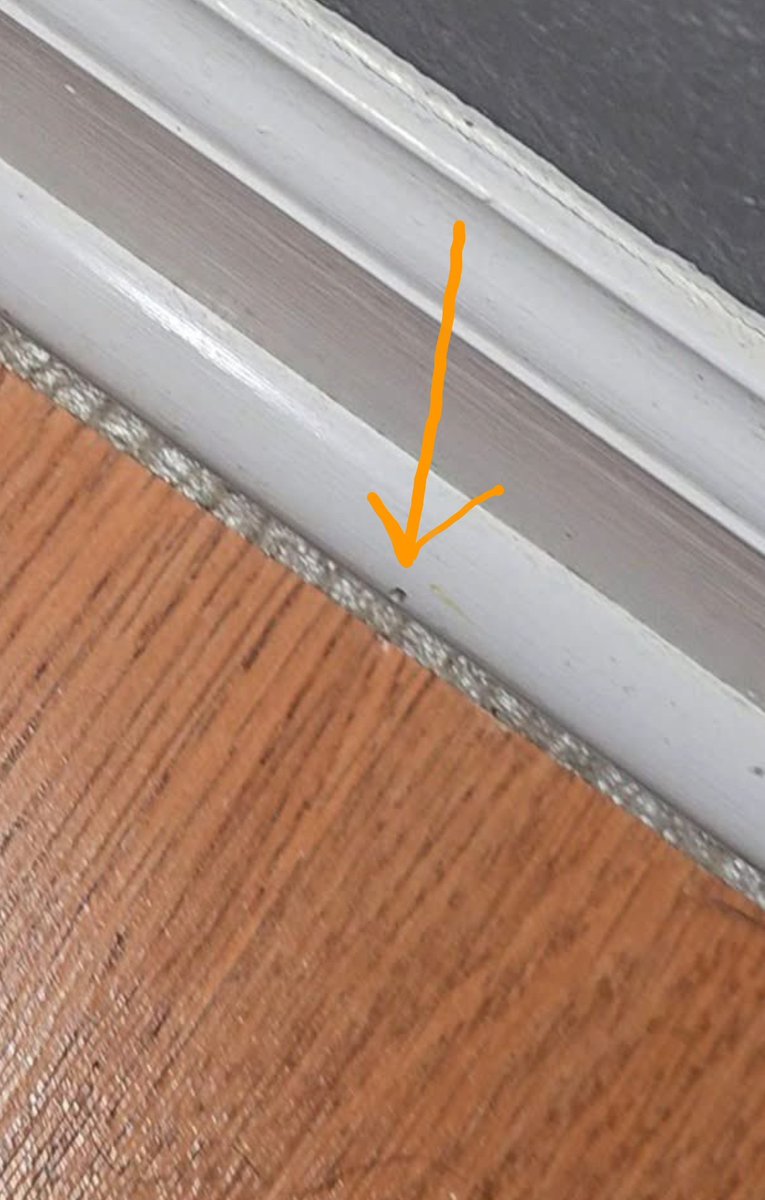 Siya 🤙 tweet media