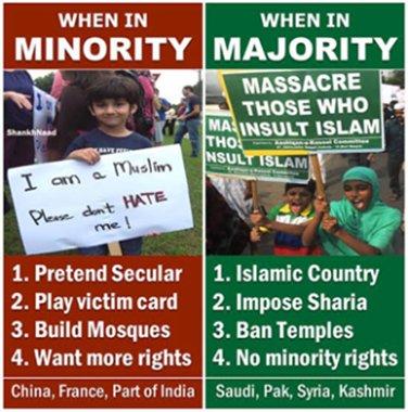 Oside49er tweet media