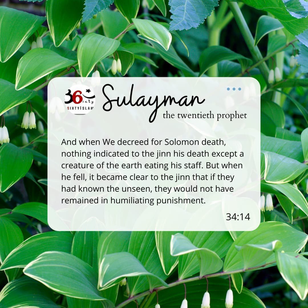 3SixtyIslam's tweet image. Day 20 of Ramadan reminds us to ask Allah for patience and a good ending. True success is not in this world, but in leaving it as a Muslim. May Allah grant us sabr and a beautiful end. Ameen. 🤲 #RamadanReflection  #3SixtyIslam