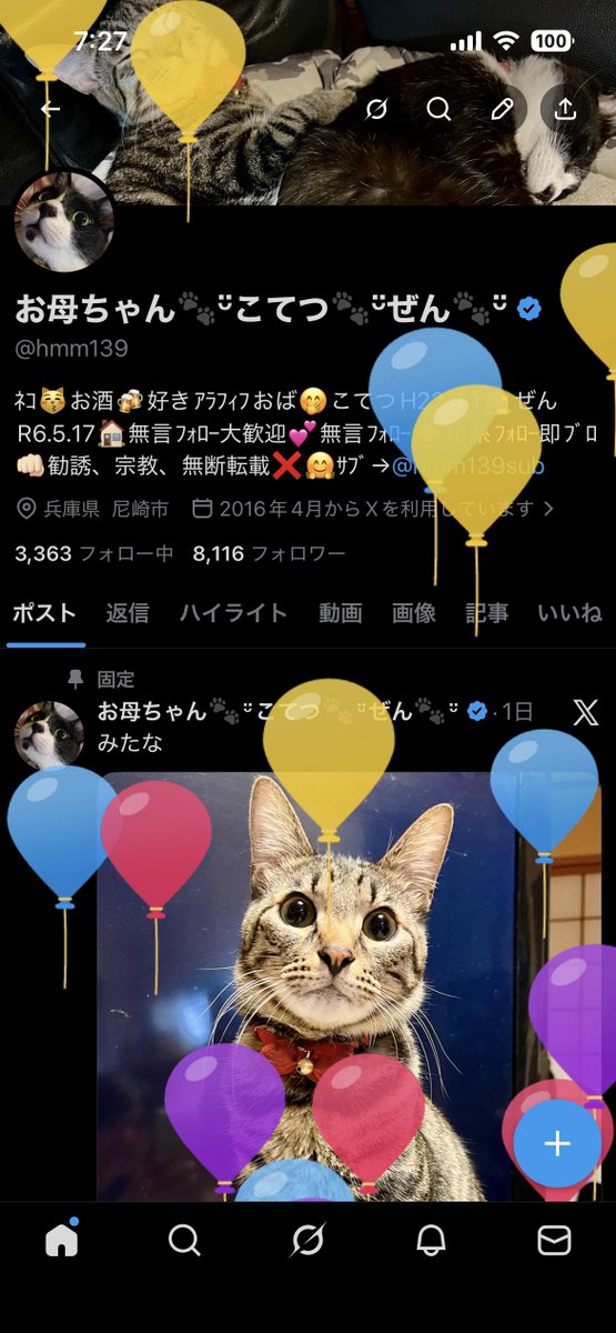 お母ちゃん🐾ᵕ̈こてつ🐾ᵕ̈ぜん🐾ᵕ̈ tweet media