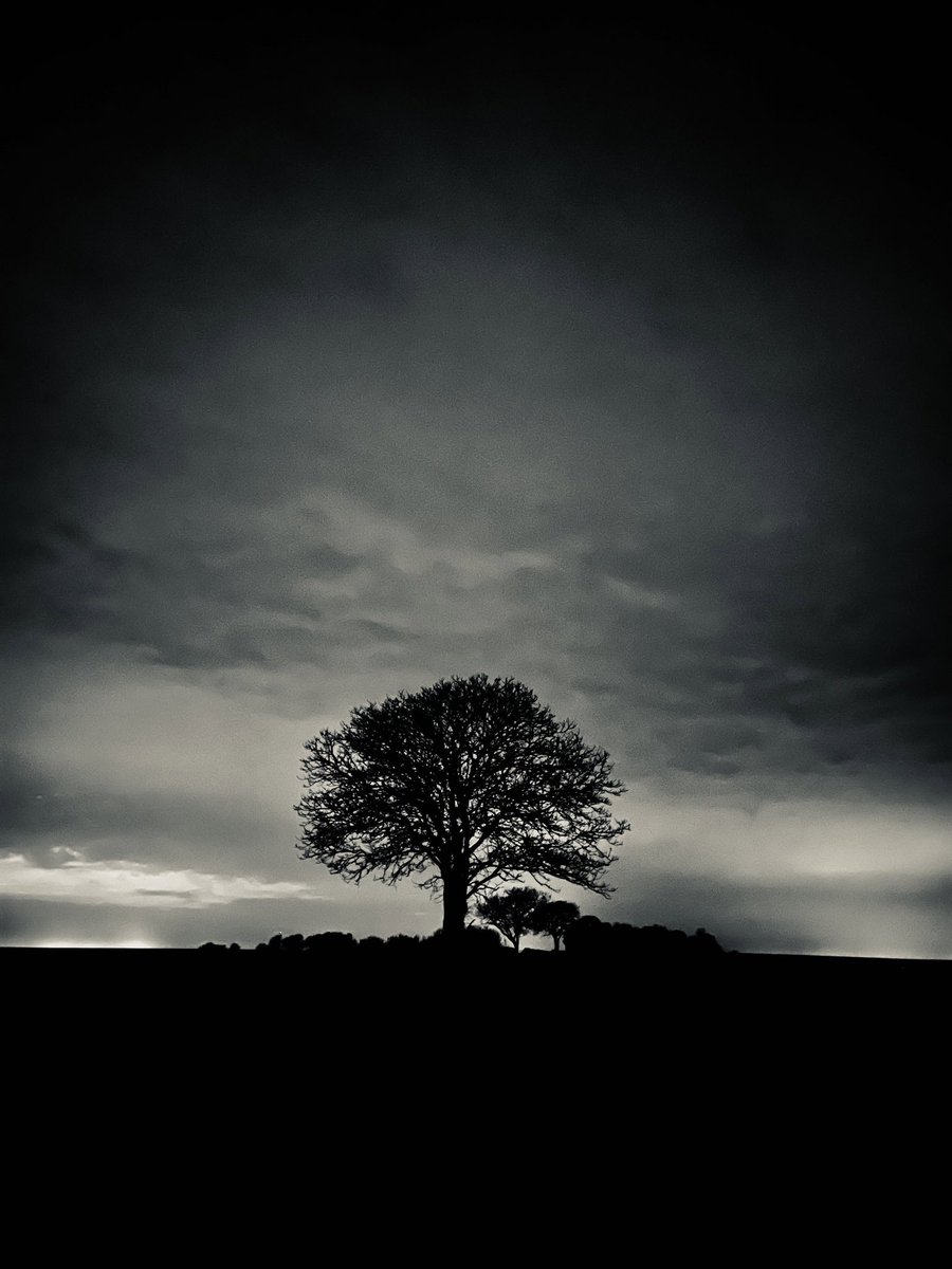 ᛏ𝙴𝙻𝙳𝙴𝚁𝙸𝙻𝙺ᛉ © tweet media