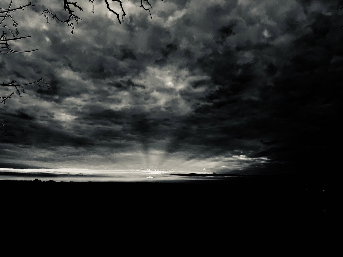 ᛏ𝙴𝙻𝙳𝙴𝚁𝙸𝙻𝙺ᛉ © tweet media