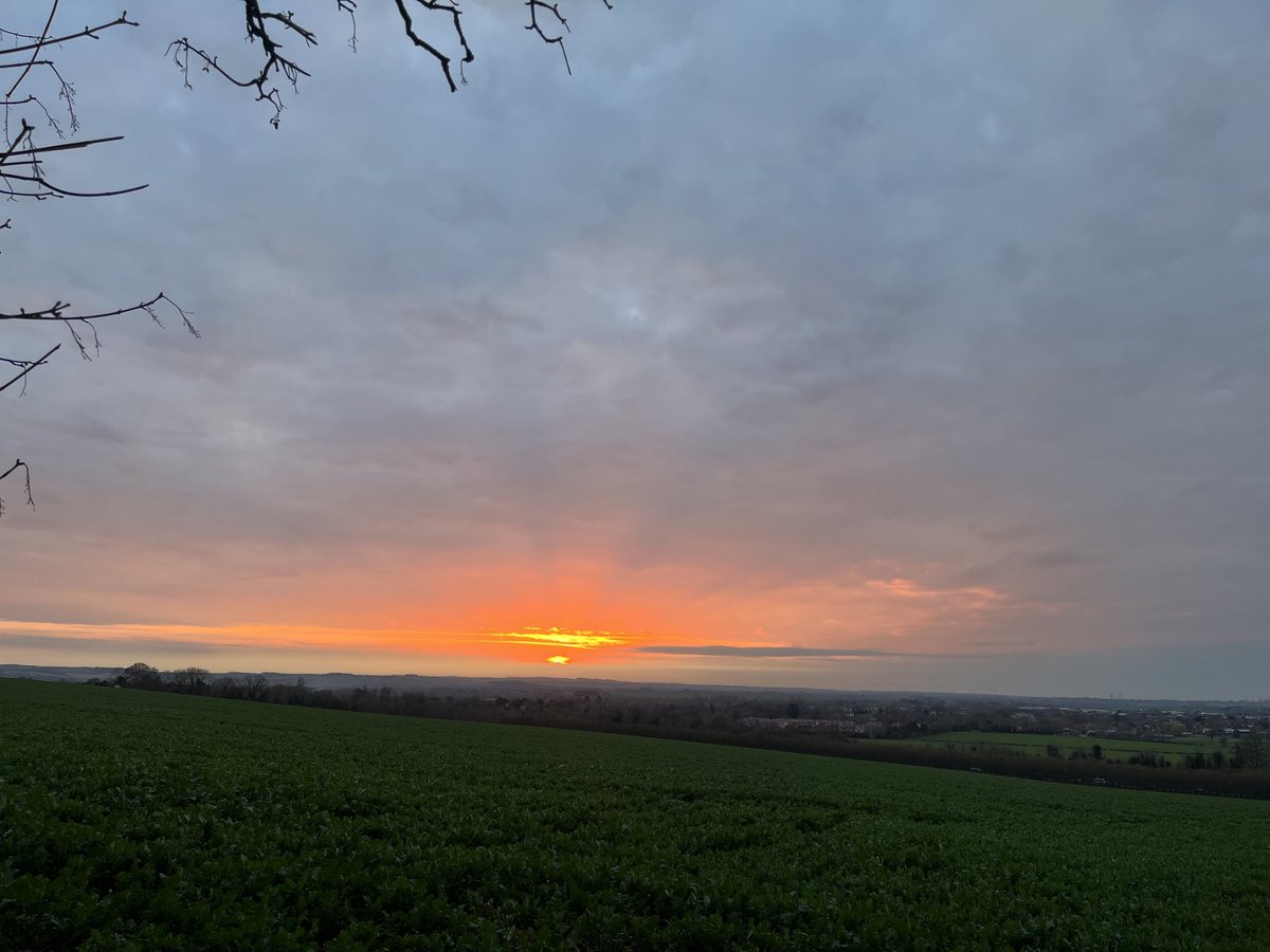 ᛏ𝙴𝙻𝙳𝙴𝚁𝙸𝙻𝙺ᛉ © tweet media