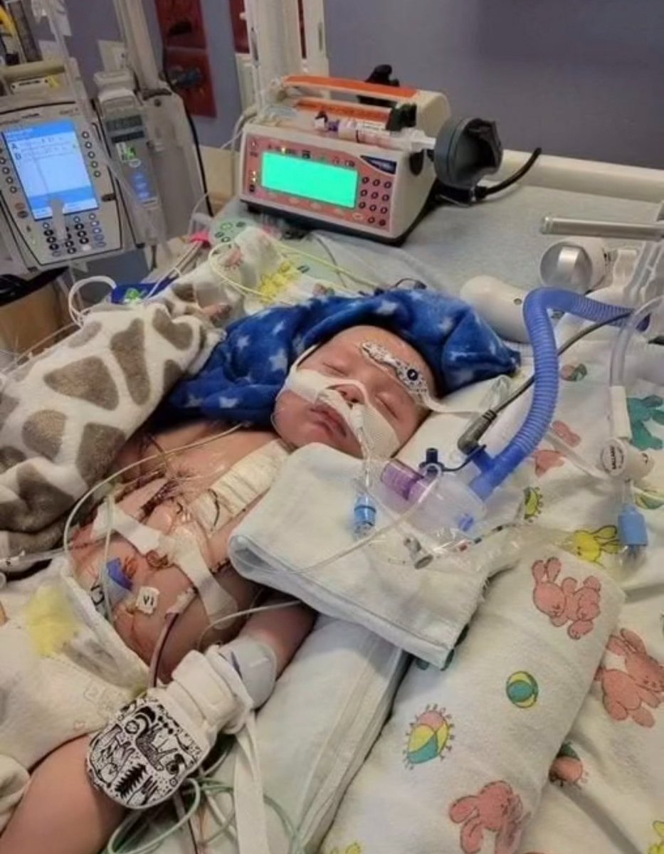 Sarah ❤️ tweet media