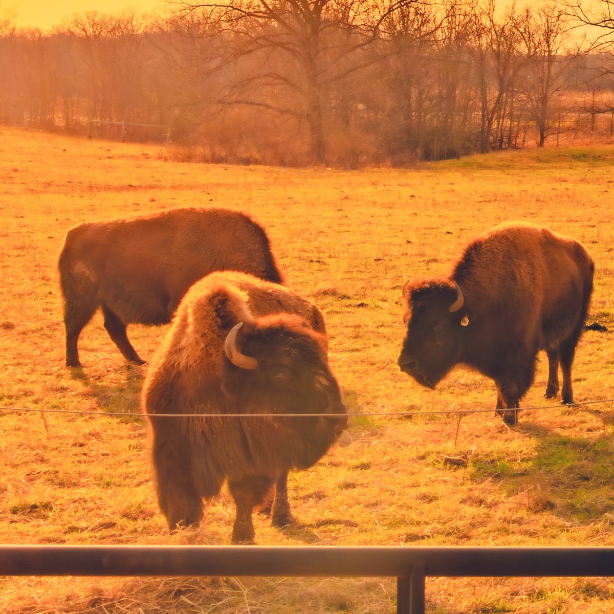 Andy Spessard tweet media