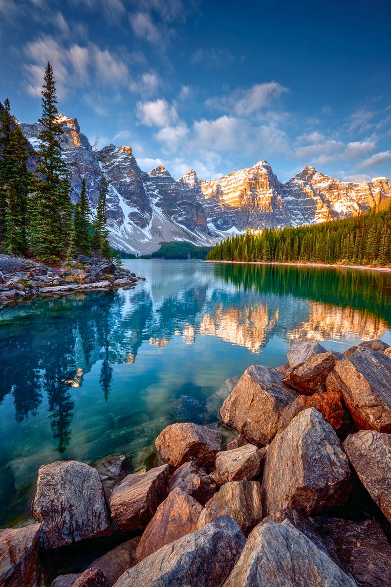 World in Pictures tweet media