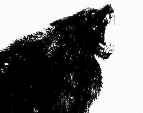 🗝️ | Leon tweet media