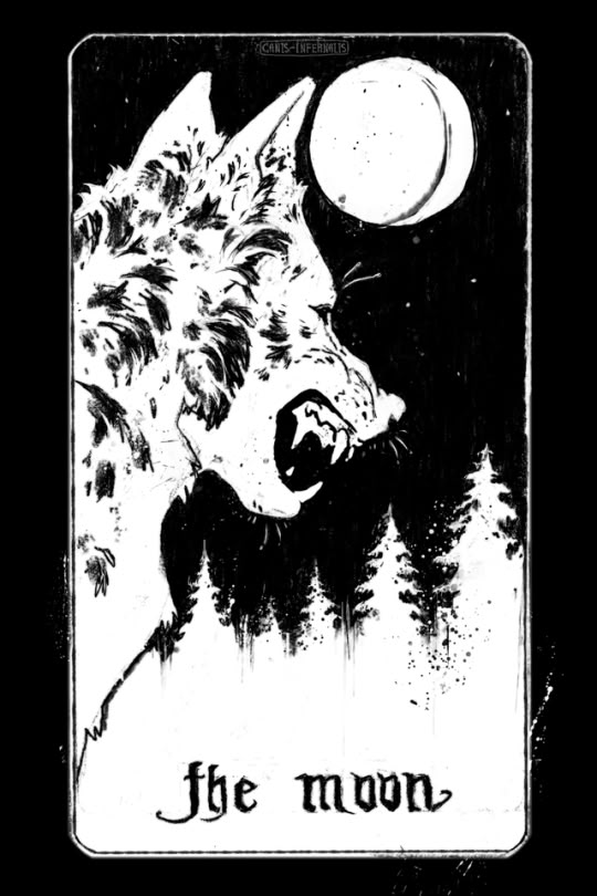 🗝️ | Leon tweet media