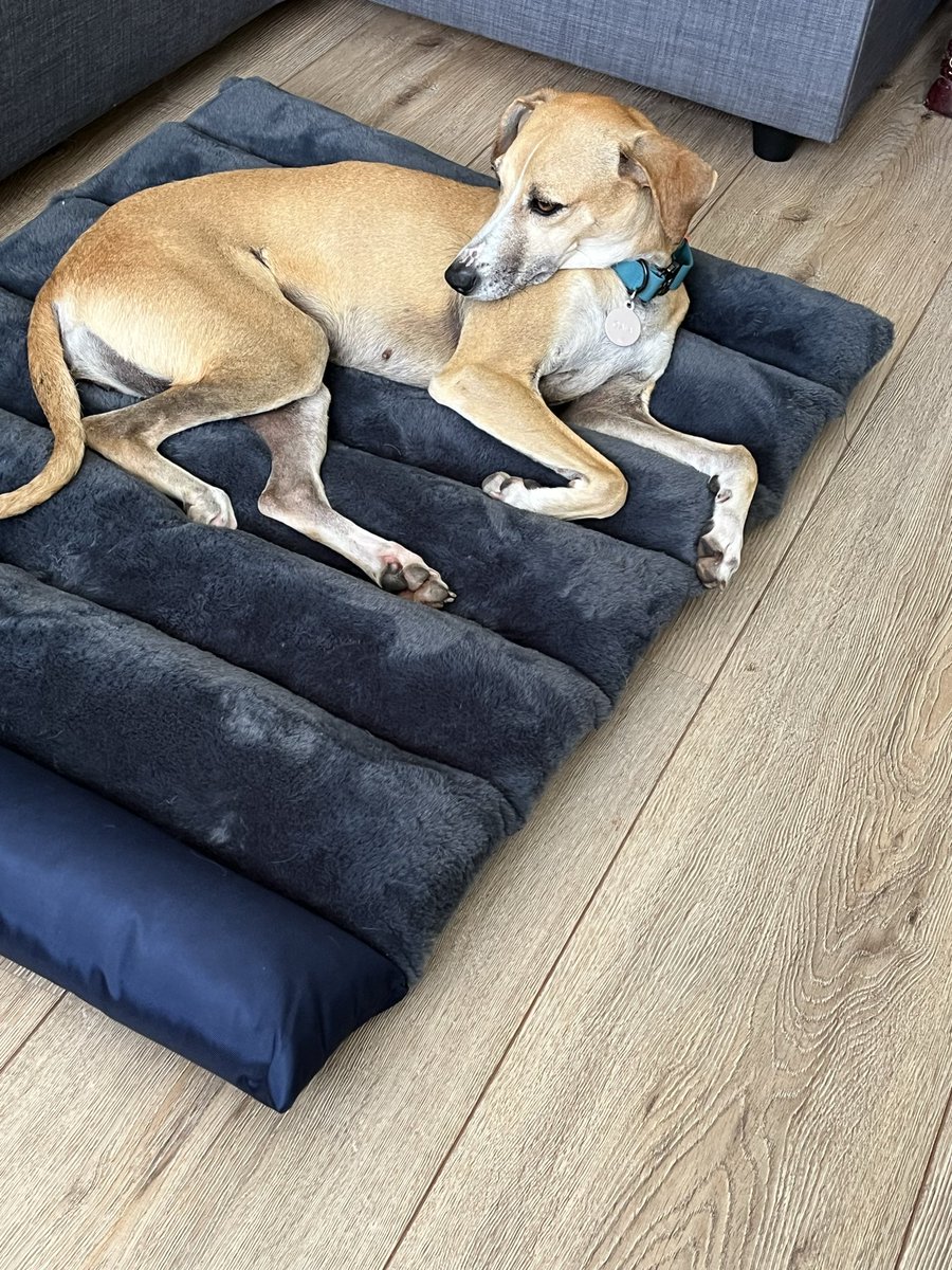 InesE Mejía tweet media