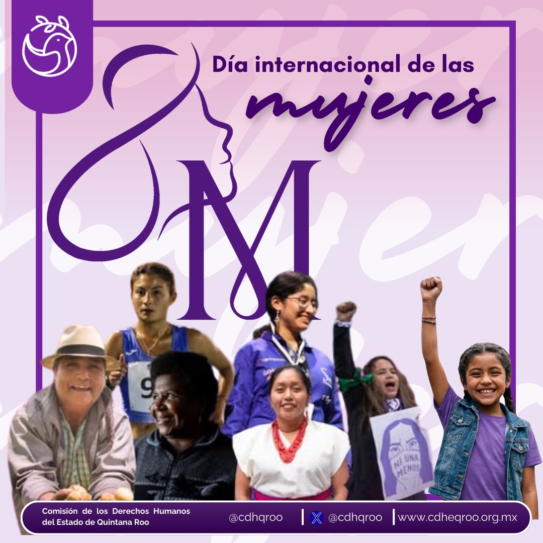 Comisión de los Derechos Humanos en Quintana Roo tweet media