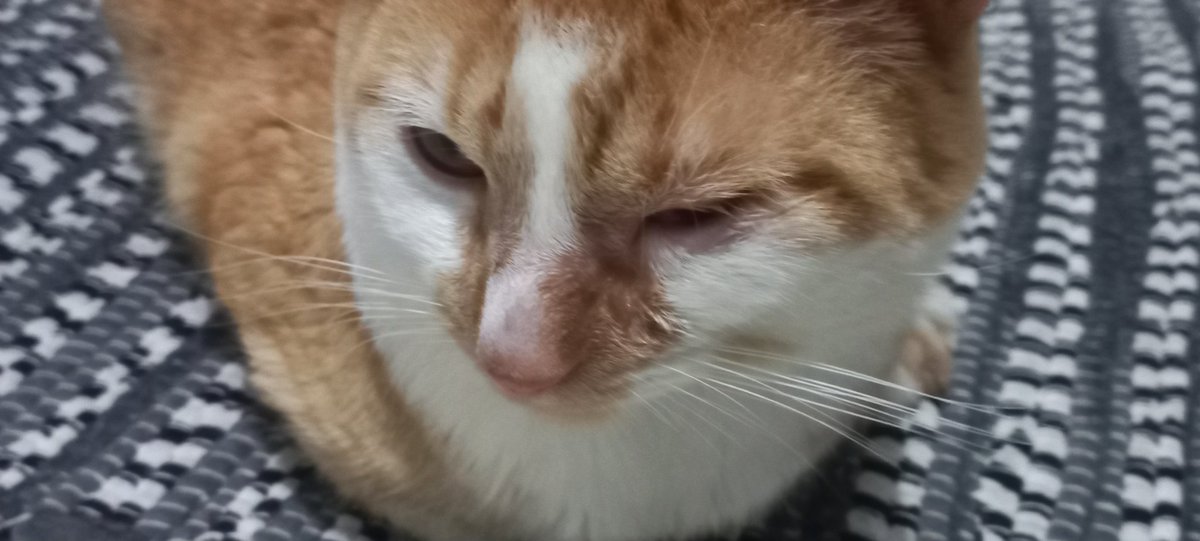 luaalee_'s tweet photo. remédios para ele.

Qualquer dinheiro ajuda, 1 real, 5 reais, tanto faz.
Agradeceria a sua compreensão e ajuda. 

https://t.co/MSqAZQh2Q6 https://t.co/MKCDaPWXod