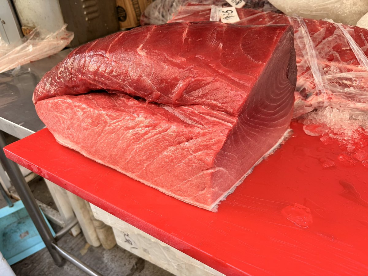 ODEN HOUSE tweet media