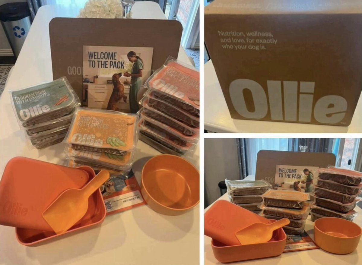 Glitch King 👑 tweet media