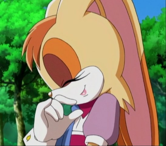 Vanilla the Rabbit tweet media