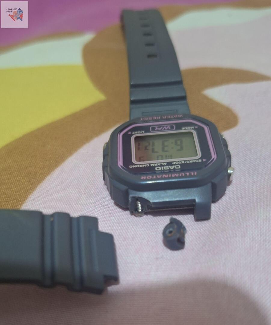 Lampung Fess| kirim mfs cek bio tweet media