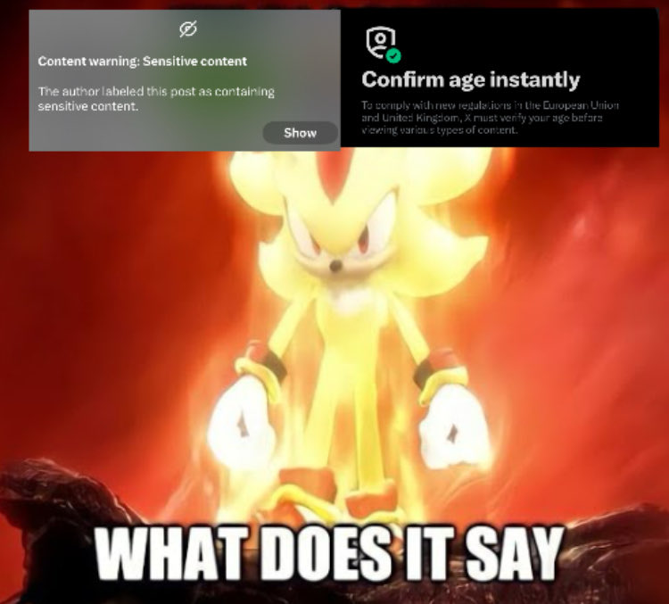 STACO (。・ω・。) tweet media