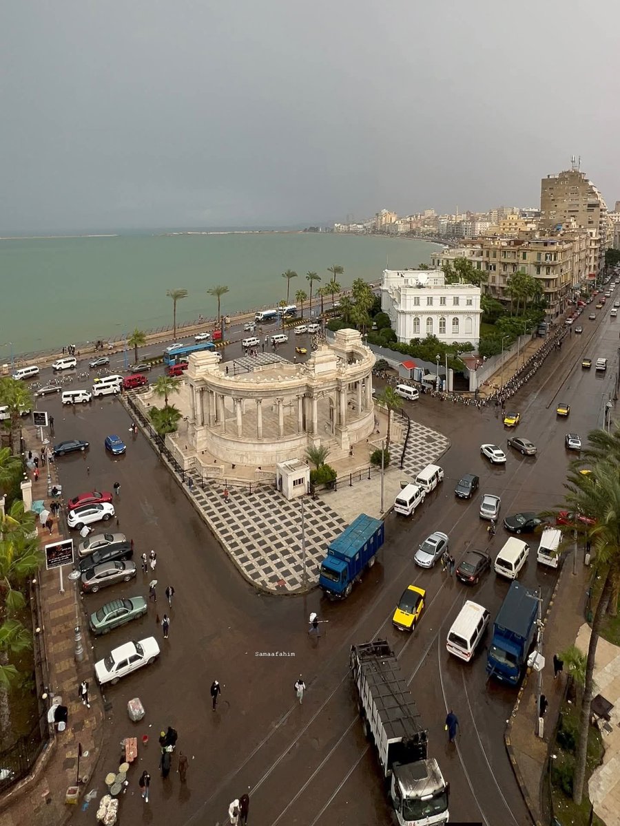اسكندرية - Alexandria tweet media