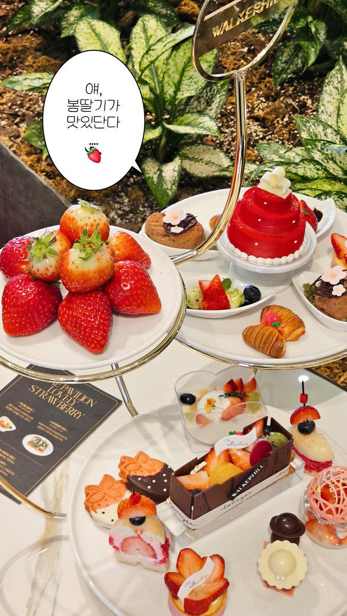 akatuki_cu's tweet photo. 워커힐 봄딸기🍓🎶 https://t.co/5uNE7yHnwr