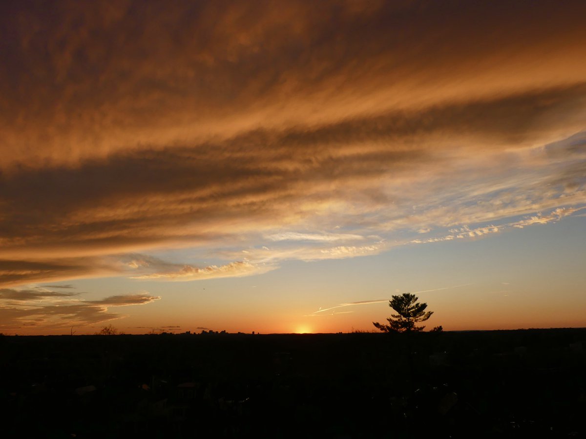 C on the scene tweet media