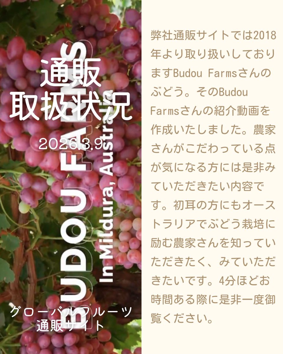 globalfruit1990's tweet photo. 弊社通販サイトでは2018年より取り扱いしておりますBudou Farmsさんのぶどう。そのBudou Farmsさんの紹介動画を作成いたしました。4分ほどお時間ある際に是非一度御覧ください。

https://t.co/YItALVhpu0

#果物 #フルーツ #budoufarms https://t.co/URWZEn4uWz