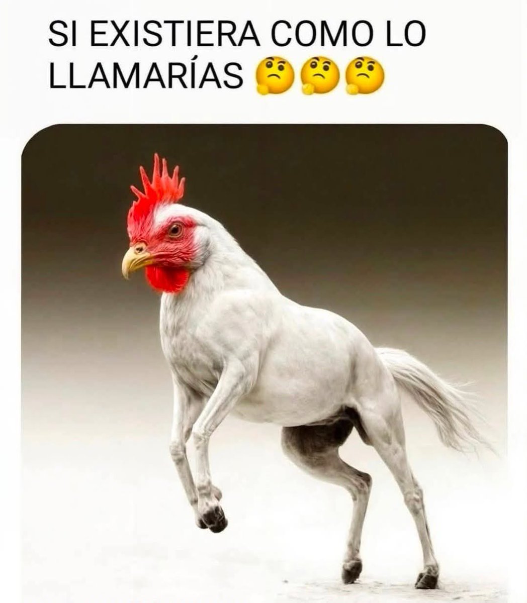 PensamientosX tweet media