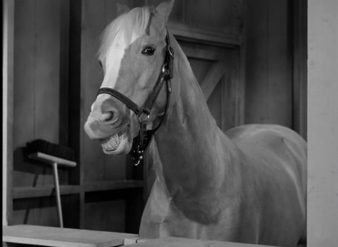 Noble Nations❤️ tweet media