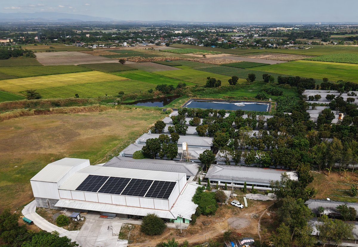 his hog farm just leveled up with solar power!

Lower operating costs. Greater energy control. Smarter agriculture.
The future of farming is powered by the sun.

#SolarPower #AgInnovation #Renewables