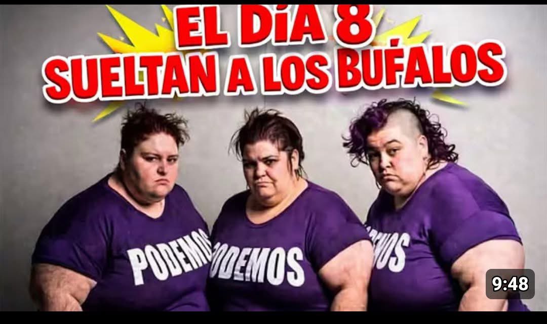 MasculinismoCon's tweet photo. #8meme #8m https://t.co/rFFk9Jjxpa