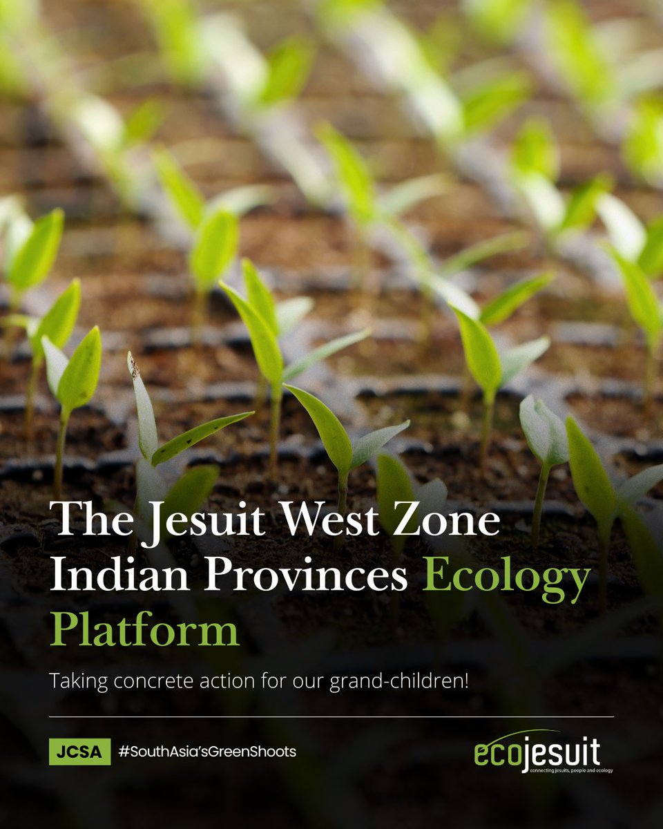 Ecojesuit tweet media