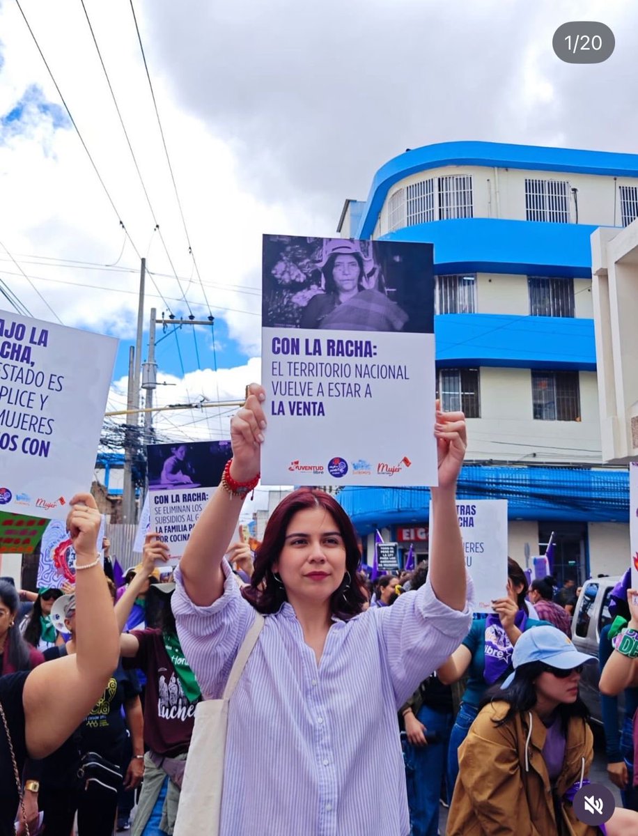 María José Sosa - Diputada tweet media