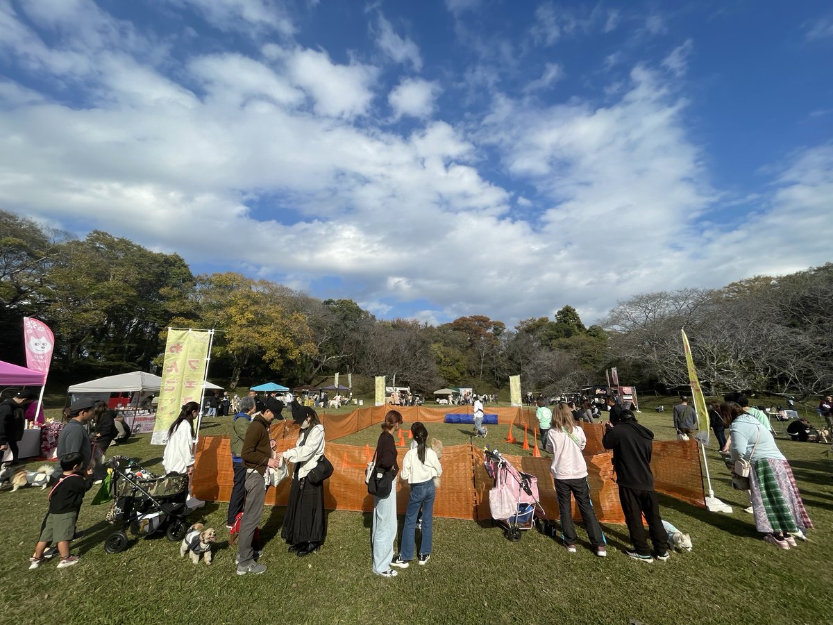 いいね！佐倉市【公式】 tweet media