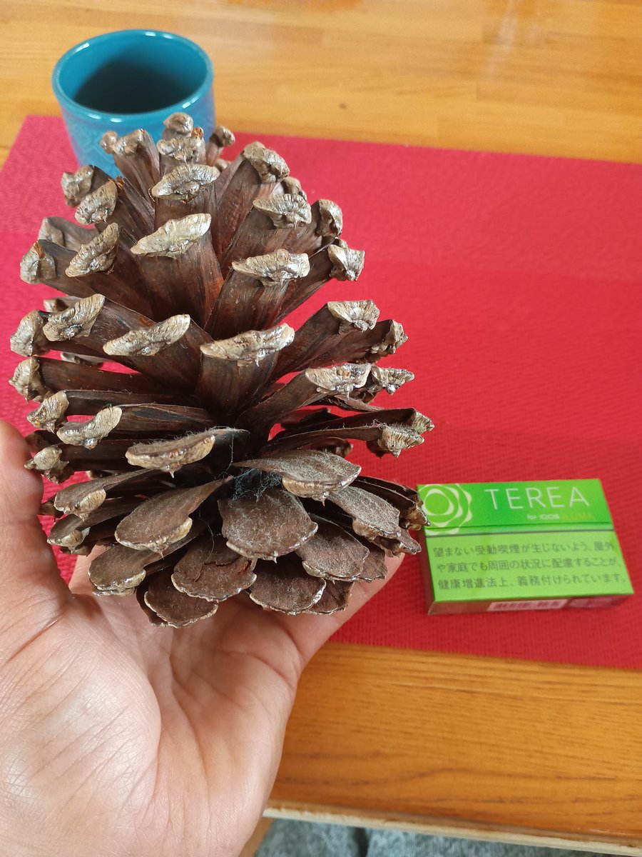 環境君 tweet media