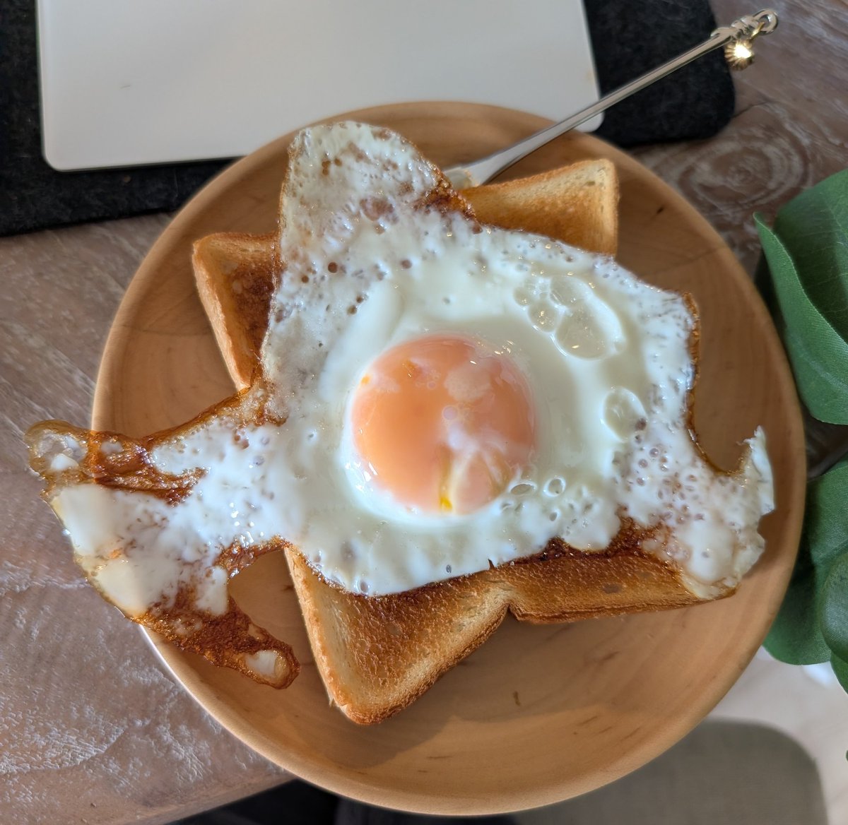 𝐘𝐔𝐑𝐈 tweet media