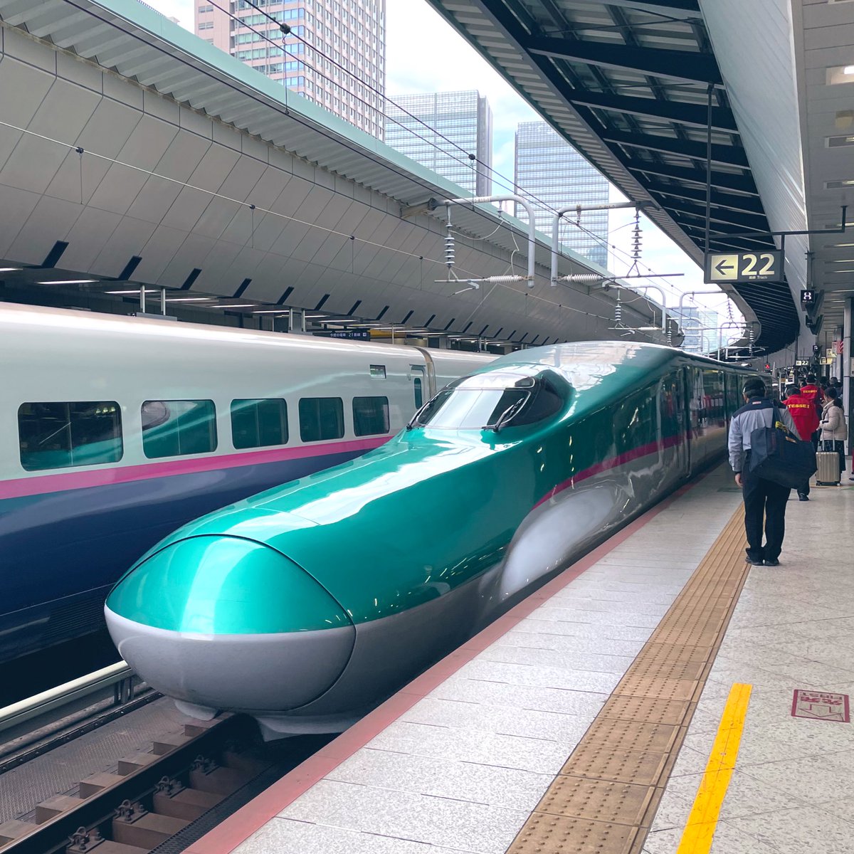 みくみくカラーだ