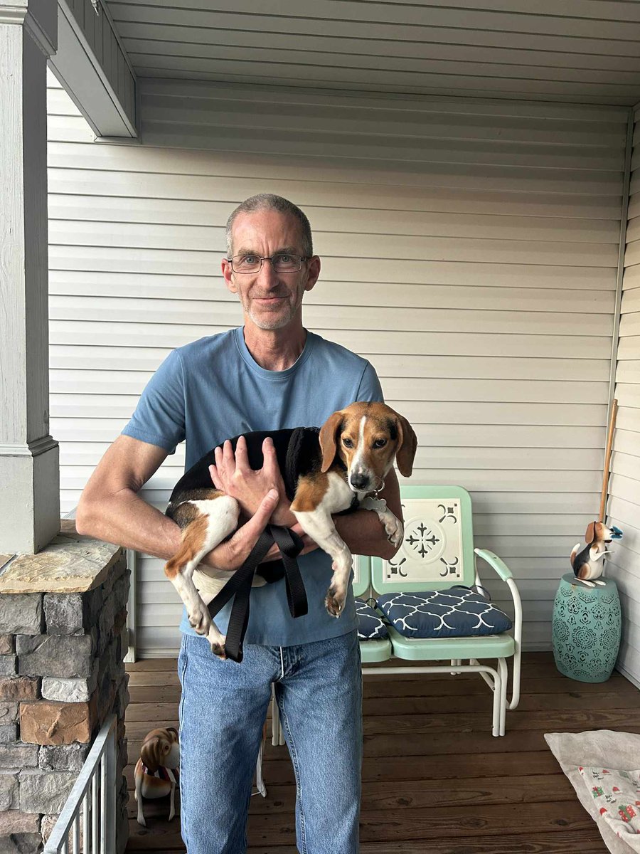 TriBeagles tweet media