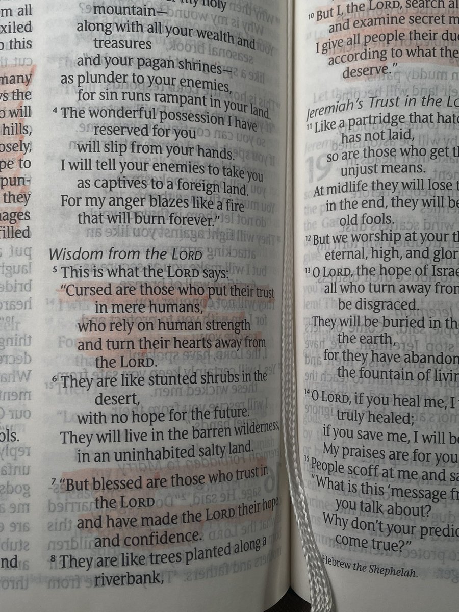 Ashley Sarmiento tweet media