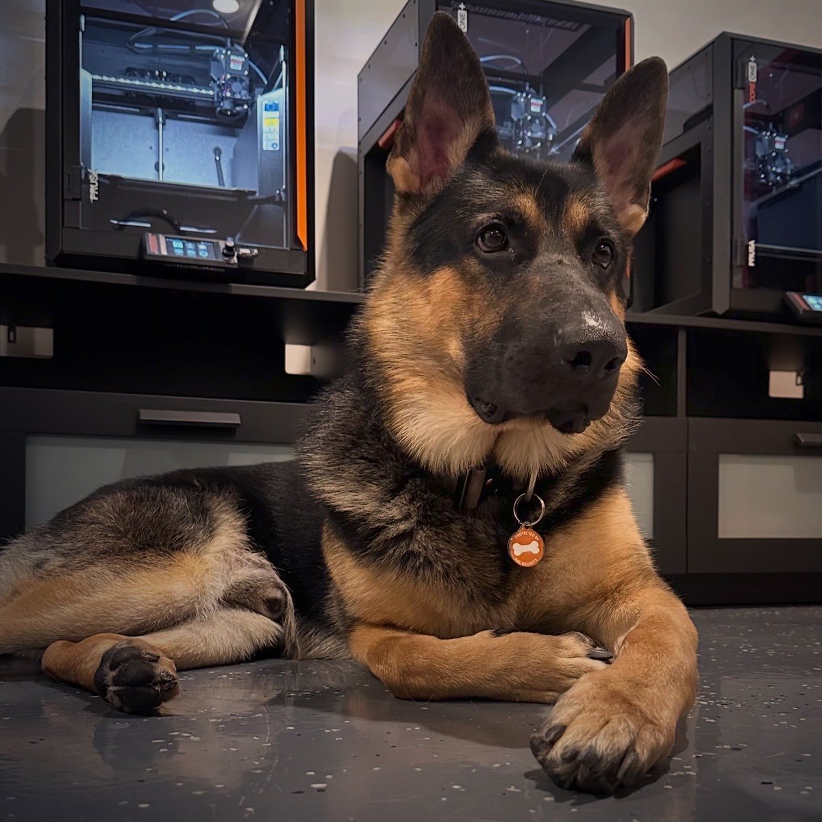 CodeMiko tweet media