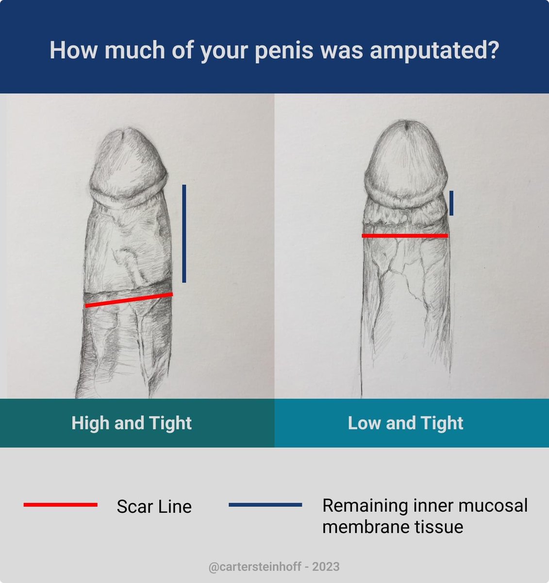 The Beast Of Revelation tweet media