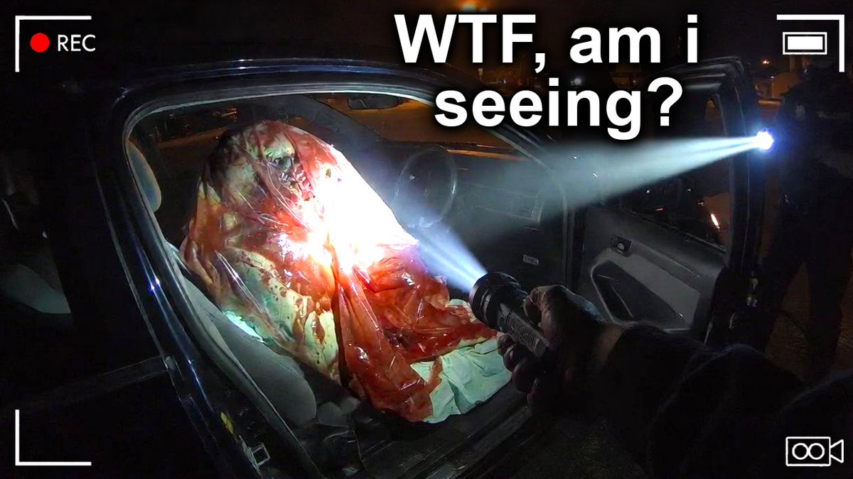 Freddy tweet media
