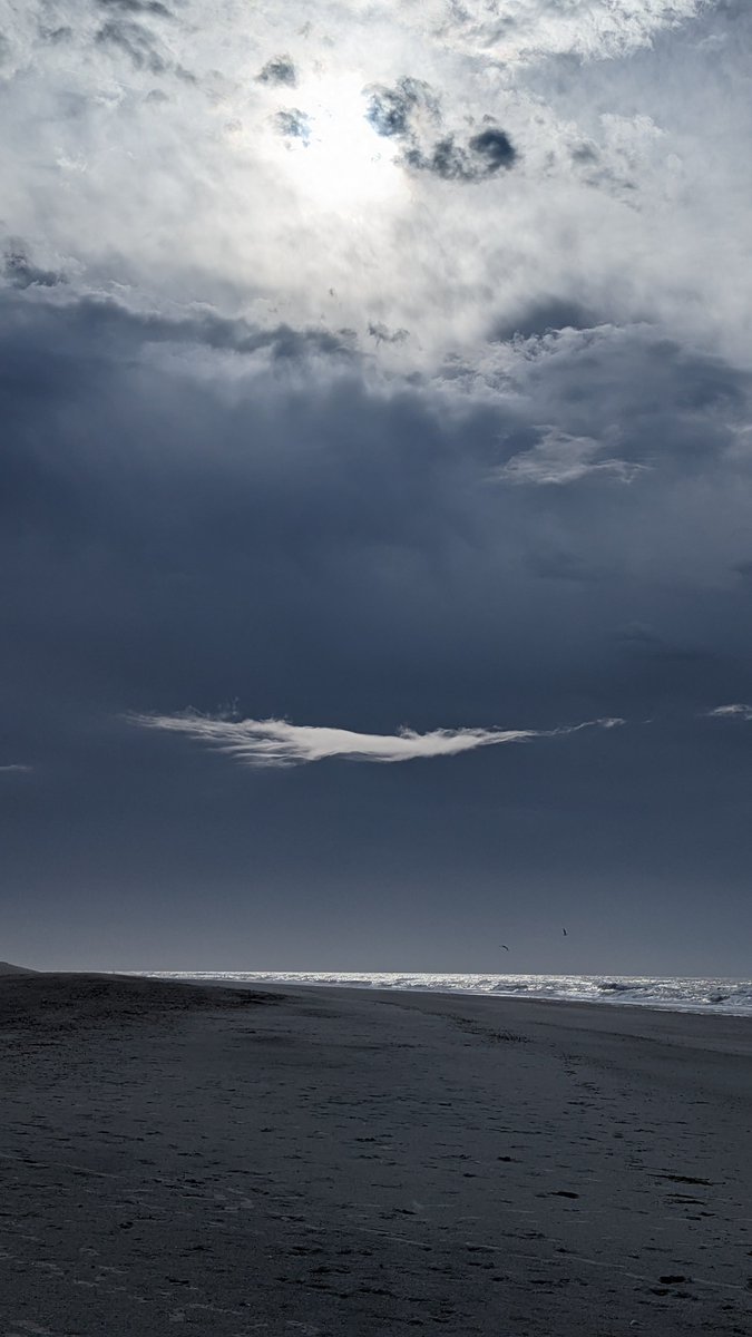 cmaxmagee tweet media