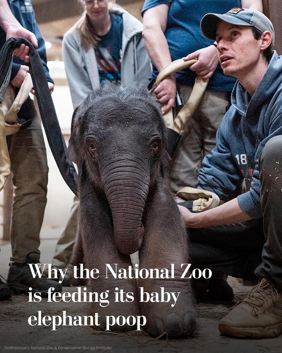 The Washington Post tweet media