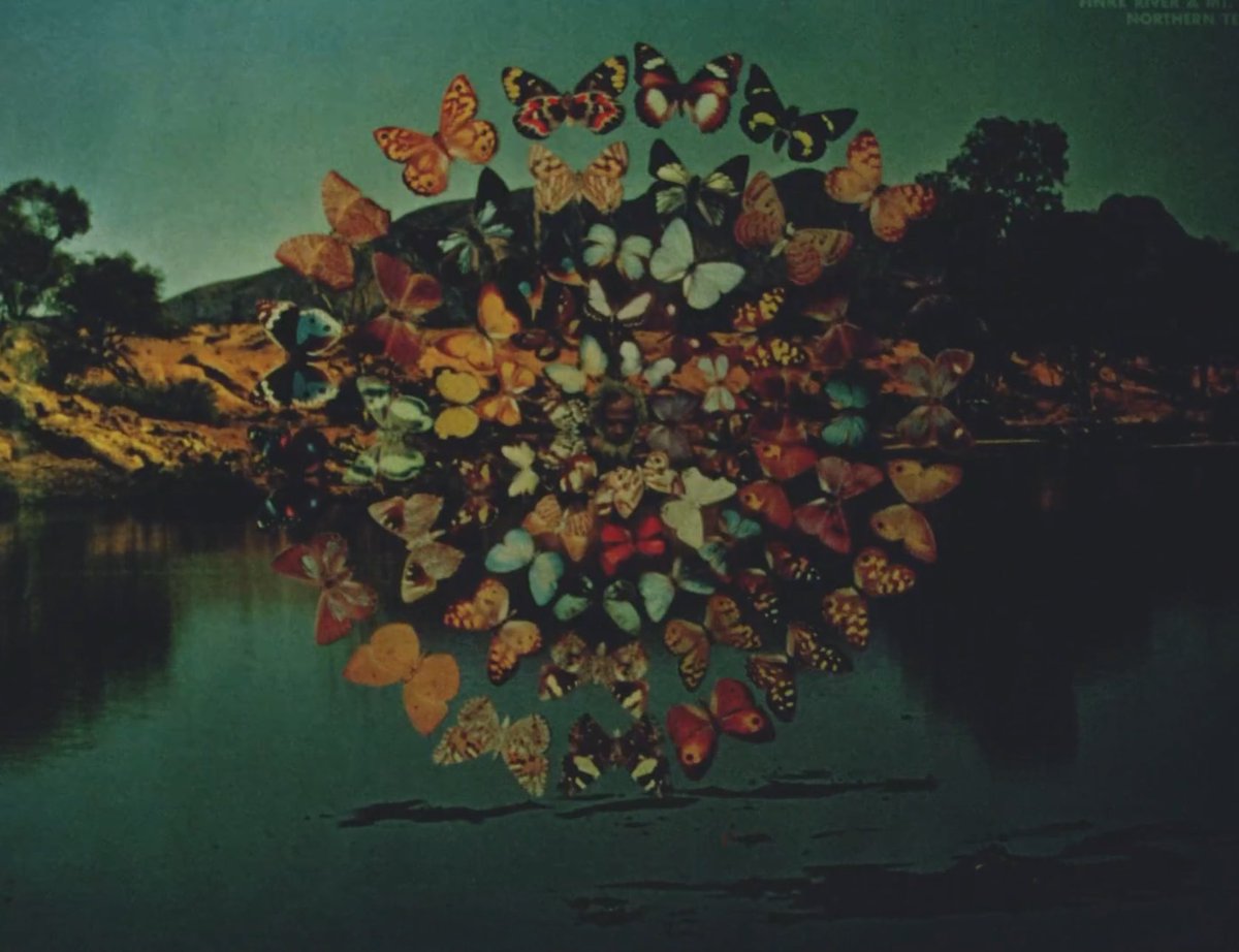 26mfhpod's tweet photo. THE MYSTICAL ROSE
1976 • Michael Lee https://t.co/0rbfvkfqka