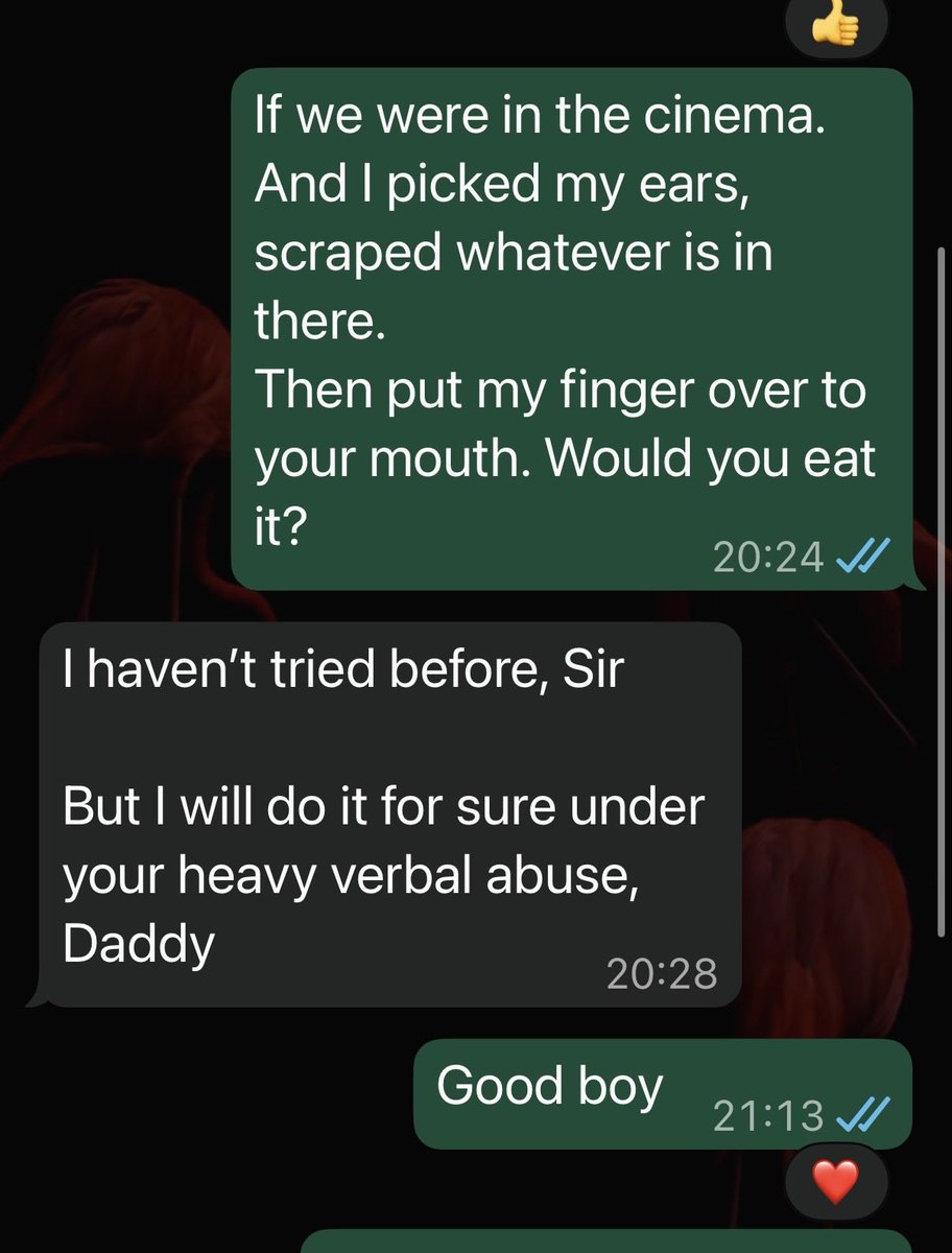 Sydney Daddy tweet media