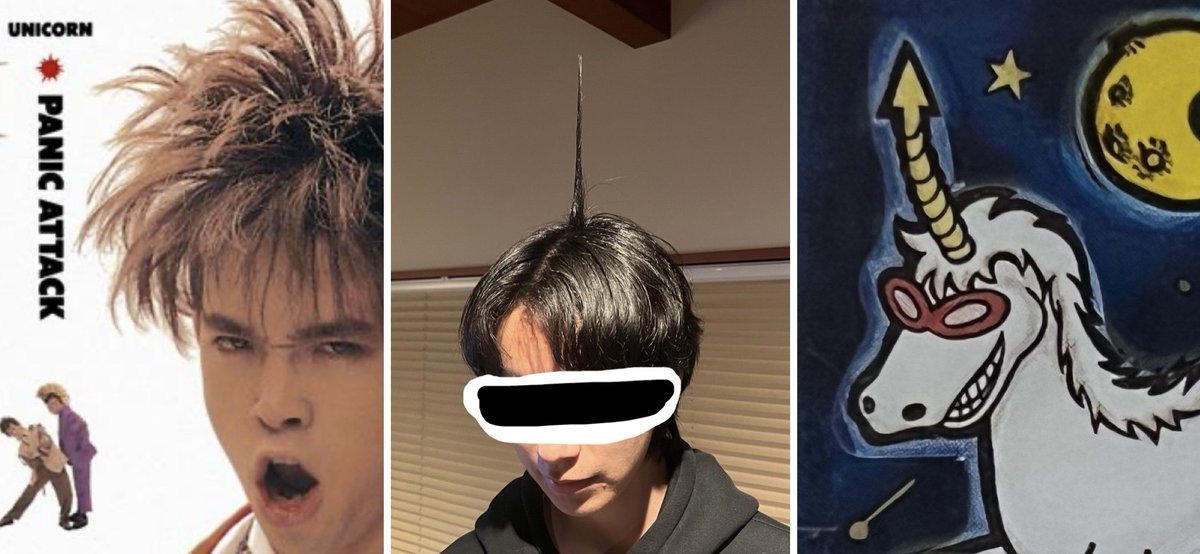 次のライブは髪を立てて出たいな〜と言ってる長男ですが
⁡
左: 私の脳内  (Uc初期の民生さんのイメージ)
中: 実際  (思ってたのと全然違うw)
右: 結果的に…  (ユニコーン🦄💨)