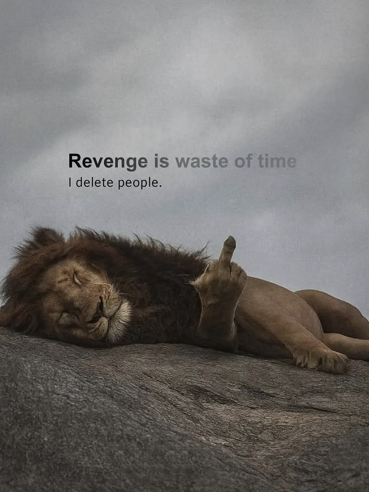 Regret💫 tweet media