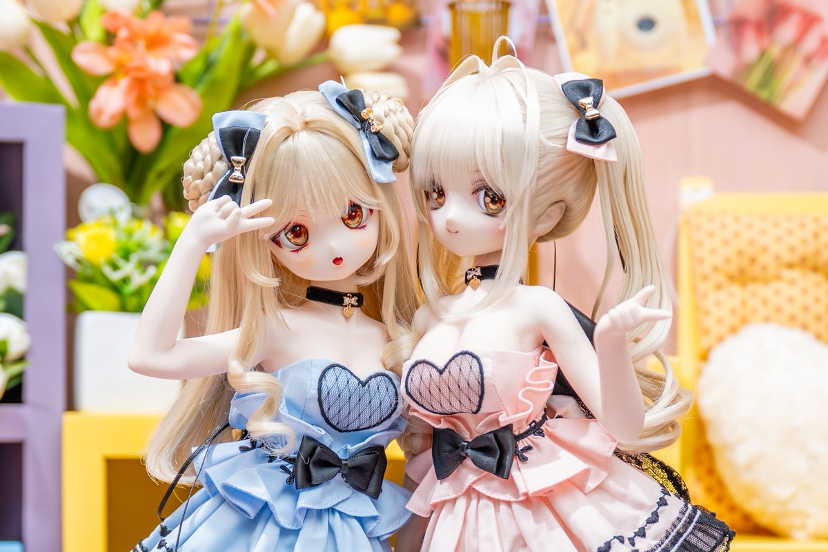 논리정연 tweet media