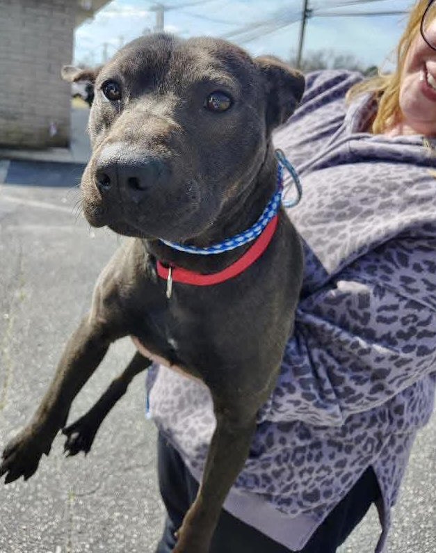 Donna Lac tweet media