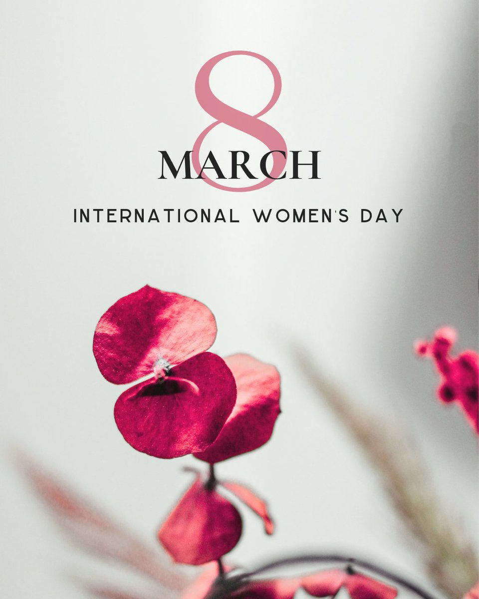 Robert Zimmerman tweet media