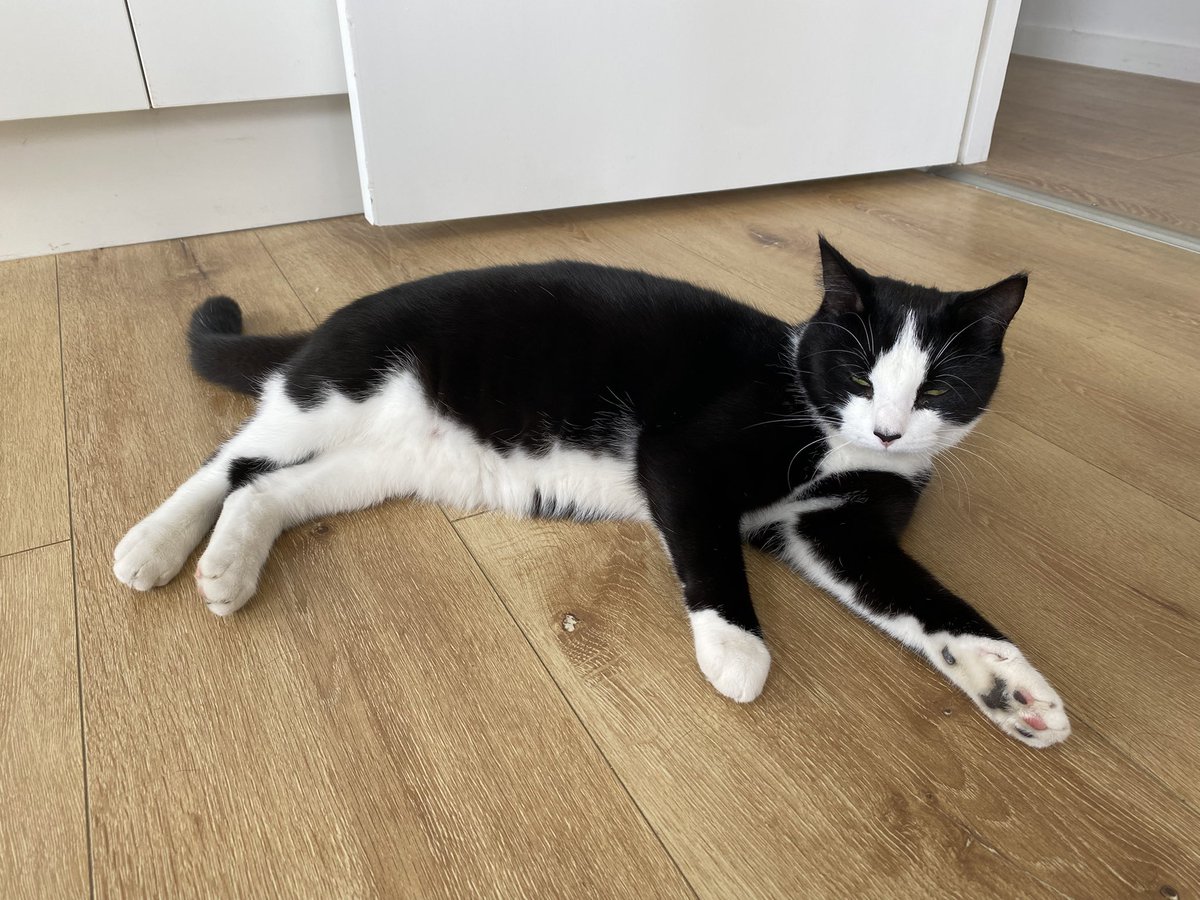 神的美意不是让我去背负，而是他来背负我。神在安排他的旨意之前，早已知道我的缺点，也看清了我的脆弱灵魂。