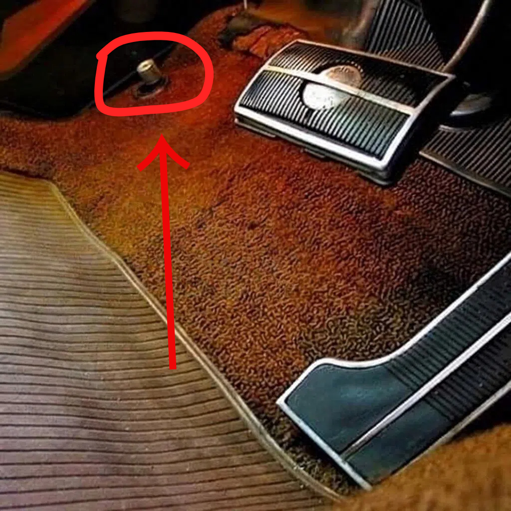 Connie 🇺🇸 tweet media